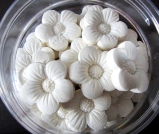 Kueh bangkit BC.JPG