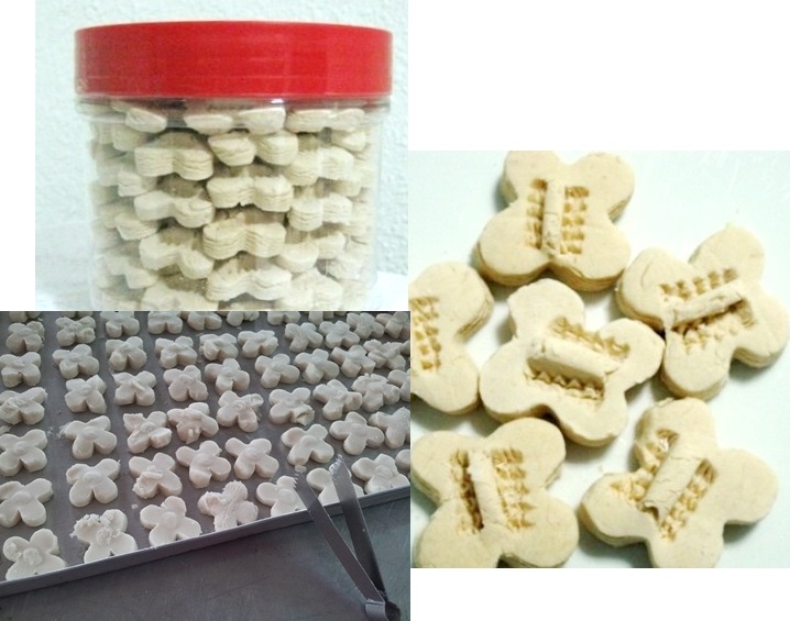 Kueh bangkit.JPG