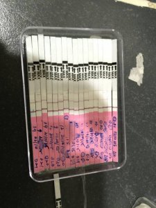 1448255314514.jpg