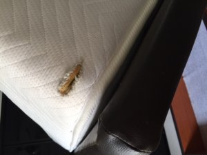 SIMMONS KING MATTRESS DEEP CUT 1.JPG