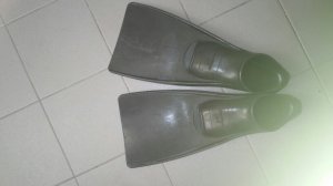 flippers.jpg