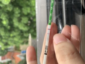9D0663E5-4597-47DB-A168-E952862CA383.jpeg