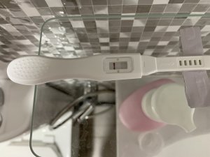 47364C93-9551-4C6D-BBF8-AE9538044B71.jpeg