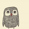 Fellynelly