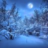 Bluewinter