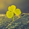 Lucky_13