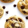 Cookiemonster11